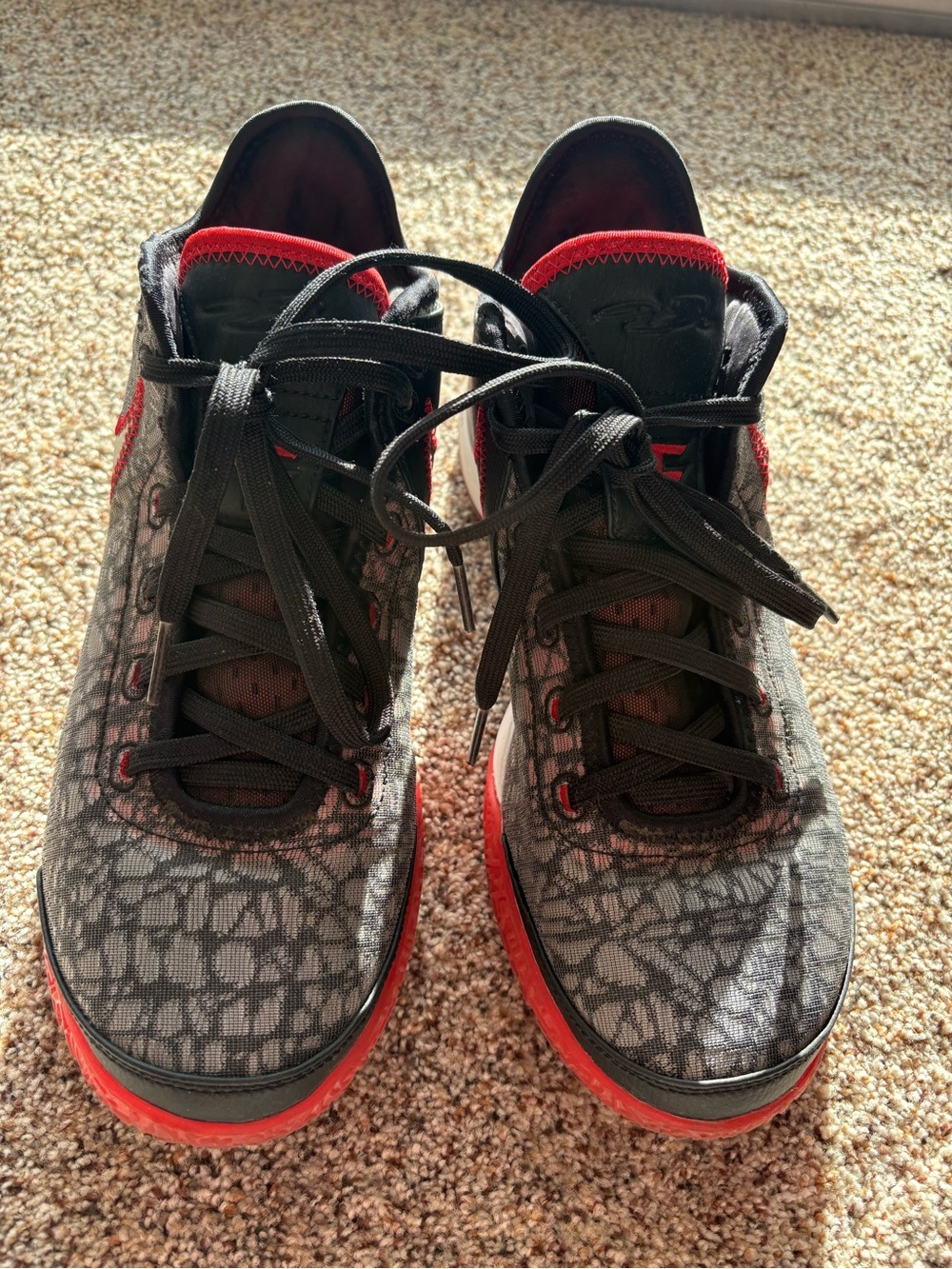 Mens Nike FaZe Clan x Zoom LeBron James NXXT Gen, size 9 men’s Nike